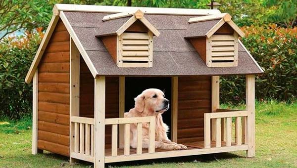 Как выбрать будку для собаки